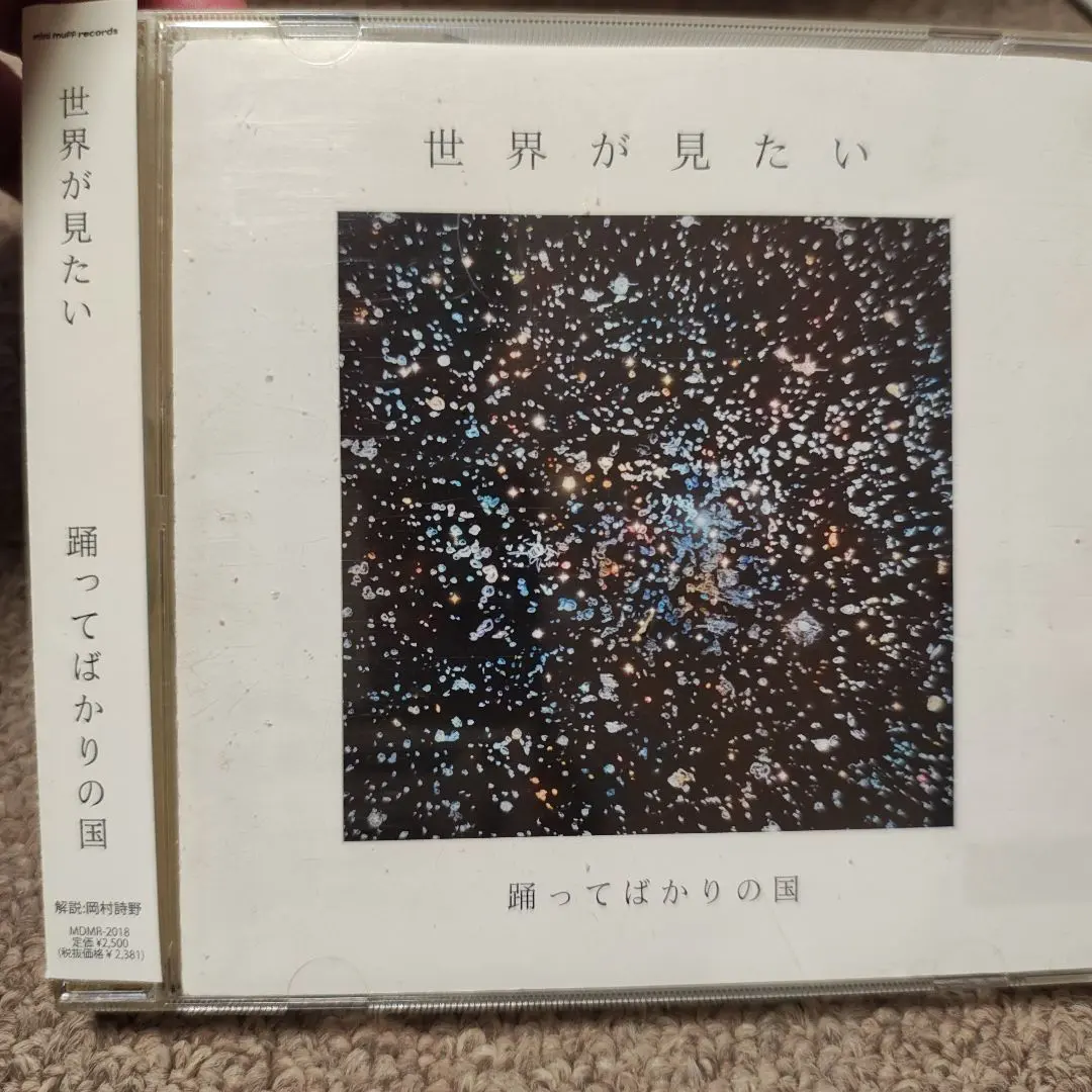 2026年最新】踊ってばかりの国 songsの人気アイテム - メルカリ