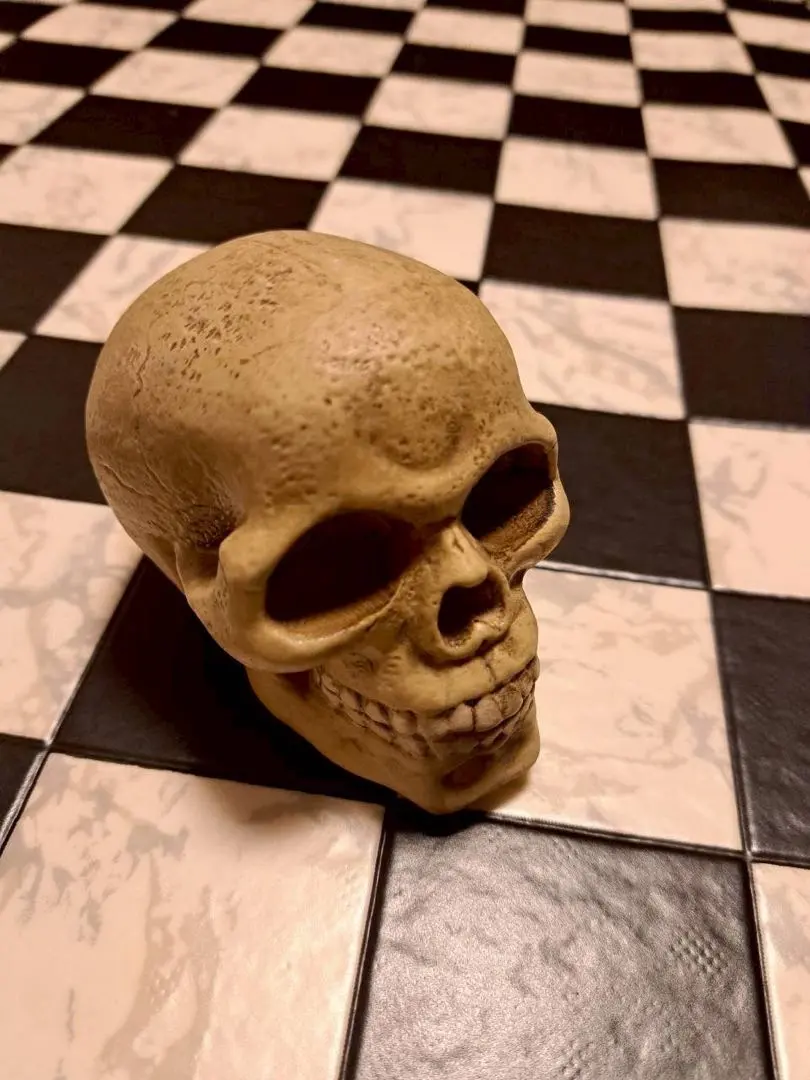 2026年最新】ガイコツ 貯金箱の人気アイテム - メルカリ