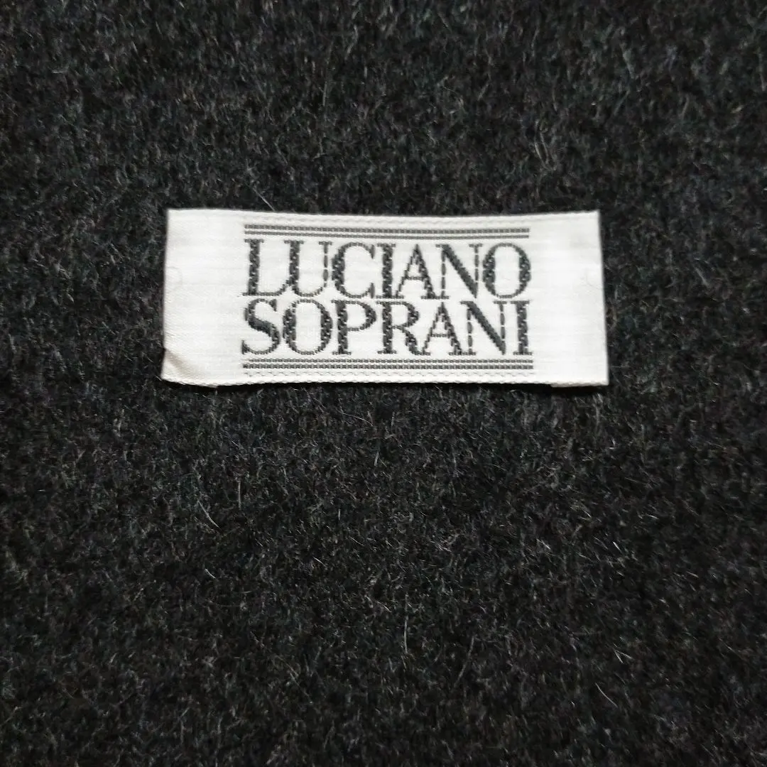 2026年最新】ルチアーノソプラーニカシミヤマフラーの人気アイテム