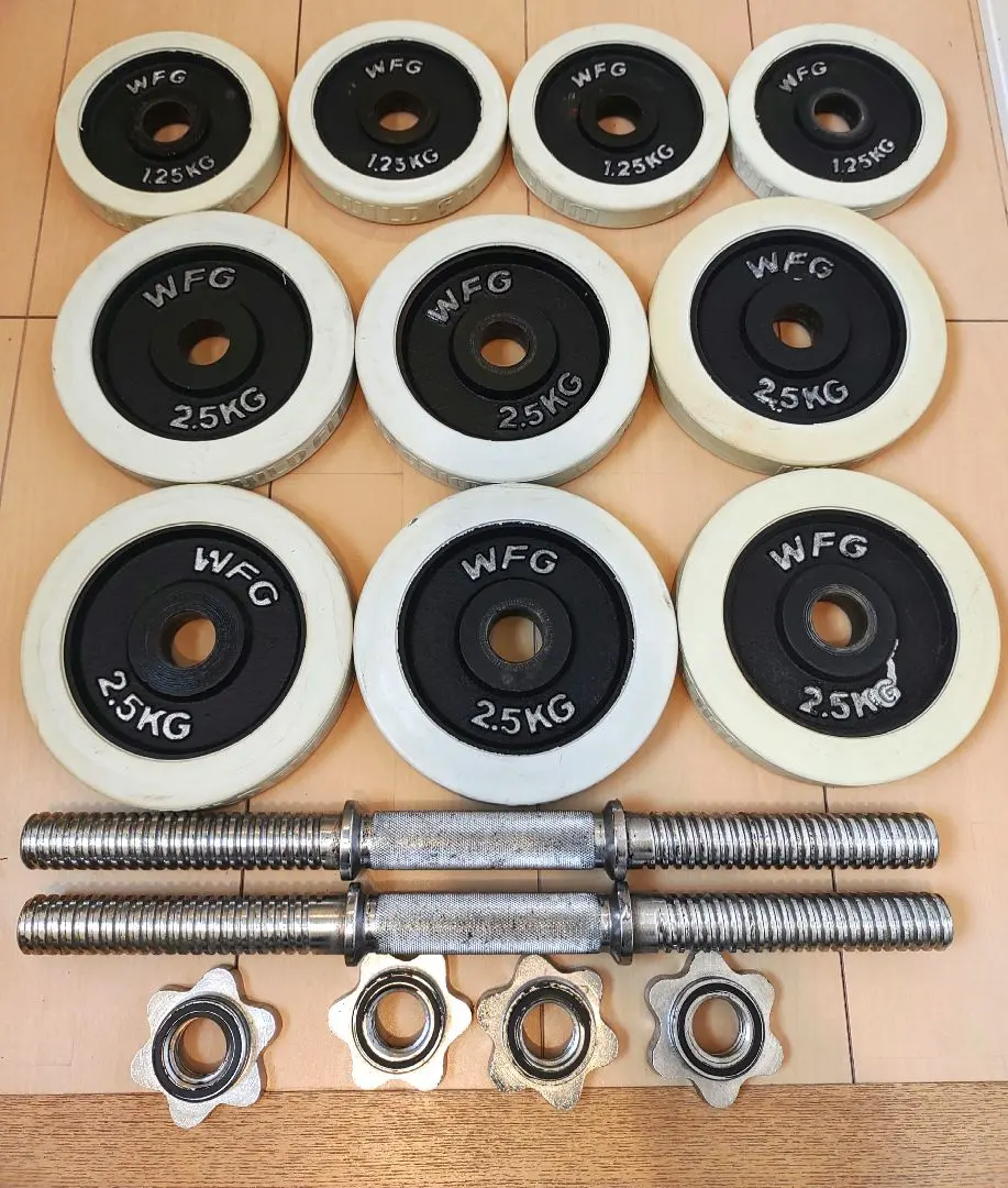 2026年最新】WILD FIT ダンベルプレートの人気アイテム - メルカリ