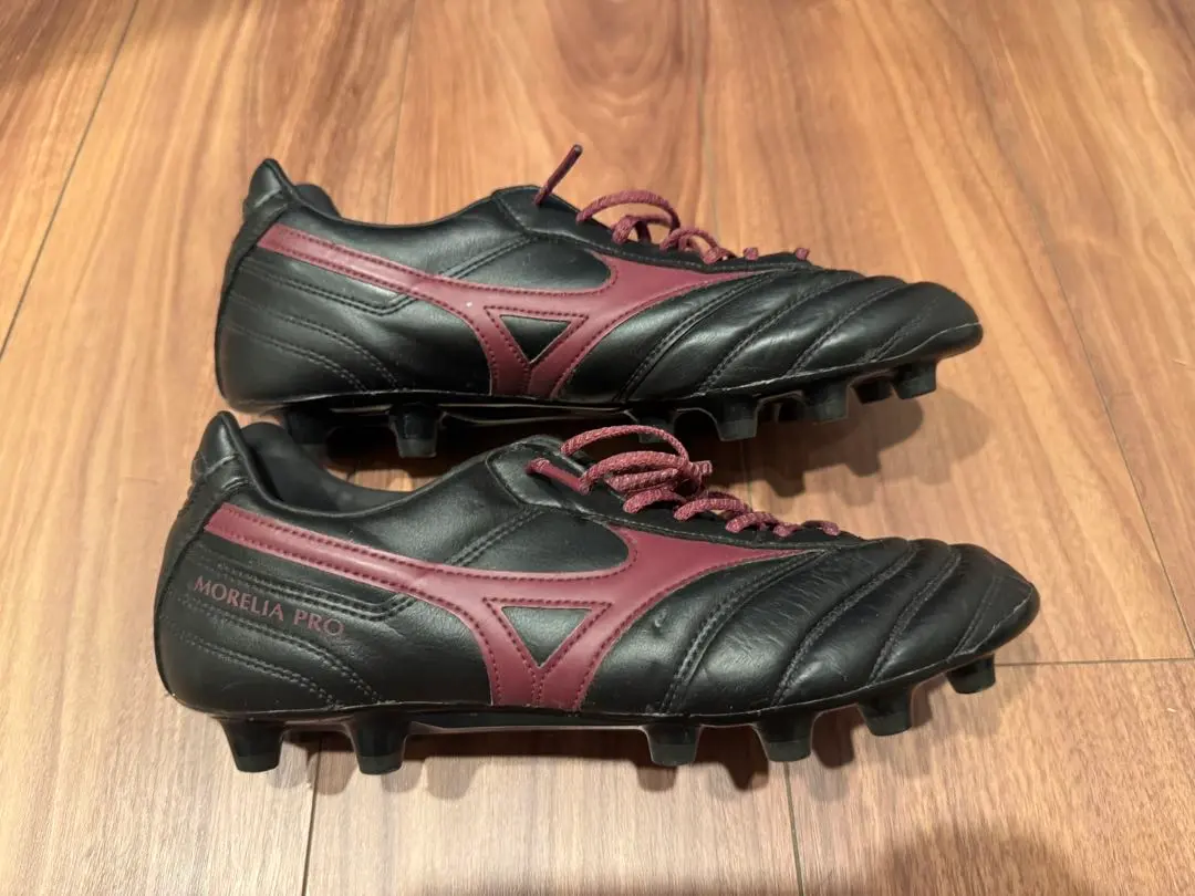 2026年最新】モレリアIIプロの人気アイテム - メルカリ