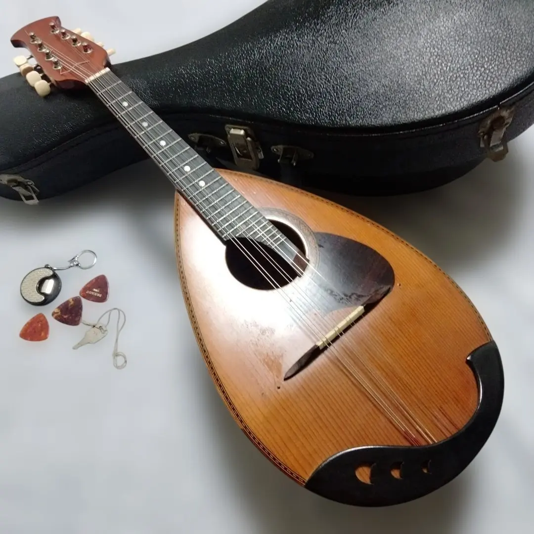 2026年最新】マンドリン suzuki 226の人気アイテム - メルカリ