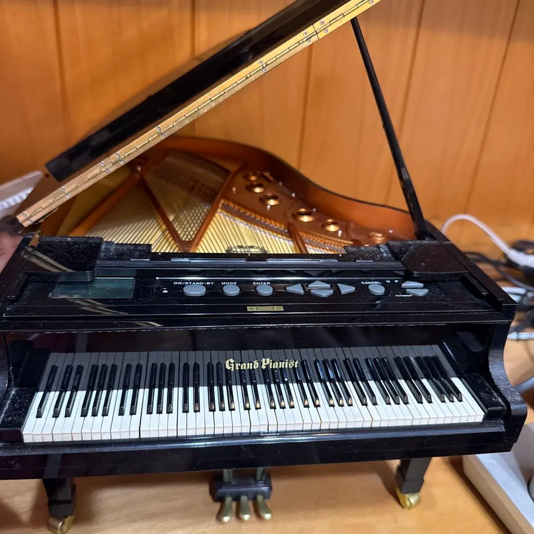 2026年最新】grand pianistの人気アイテム - メルカリ
