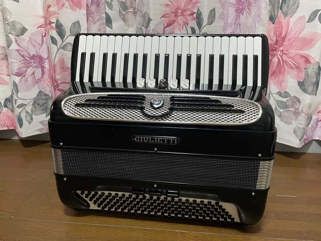 2026年最新】アコーディオン 41鍵盤の人気アイテム - メルカリ