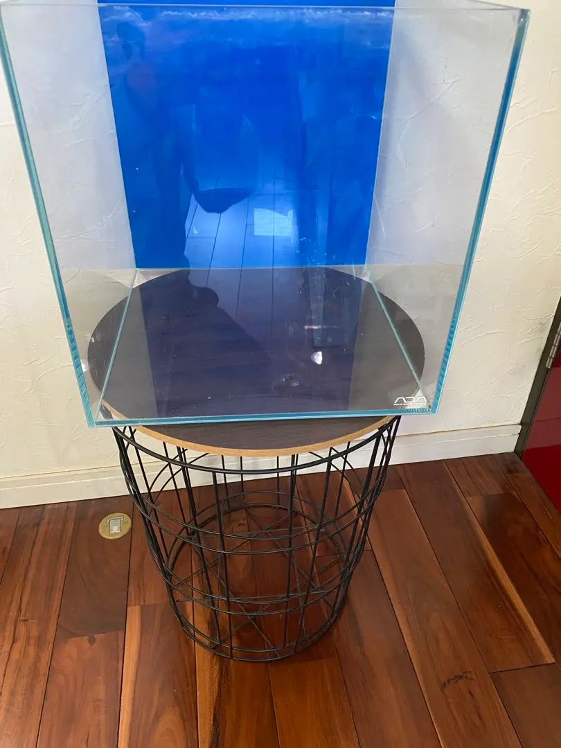 2026年最新】ada キューブガーデン 60cmの人気アイテム - メルカリ