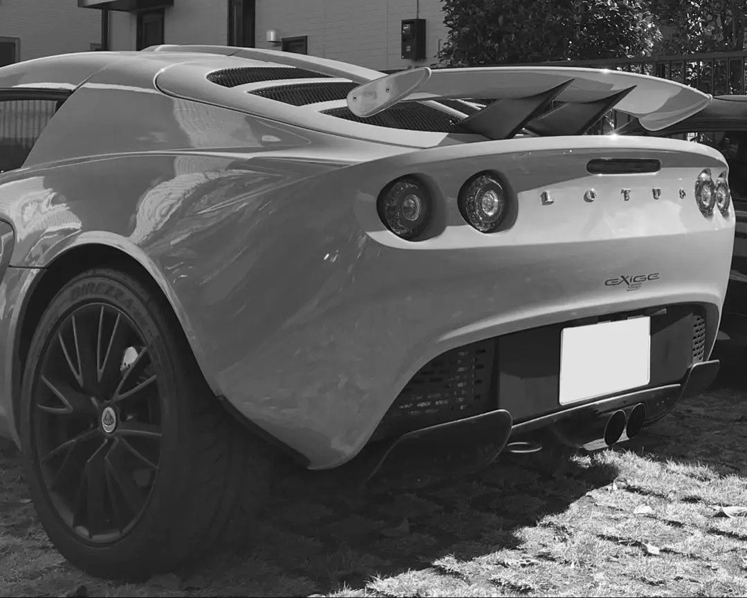 2026年最新】エリーゼ マフラーの人気アイテム - メルカリ