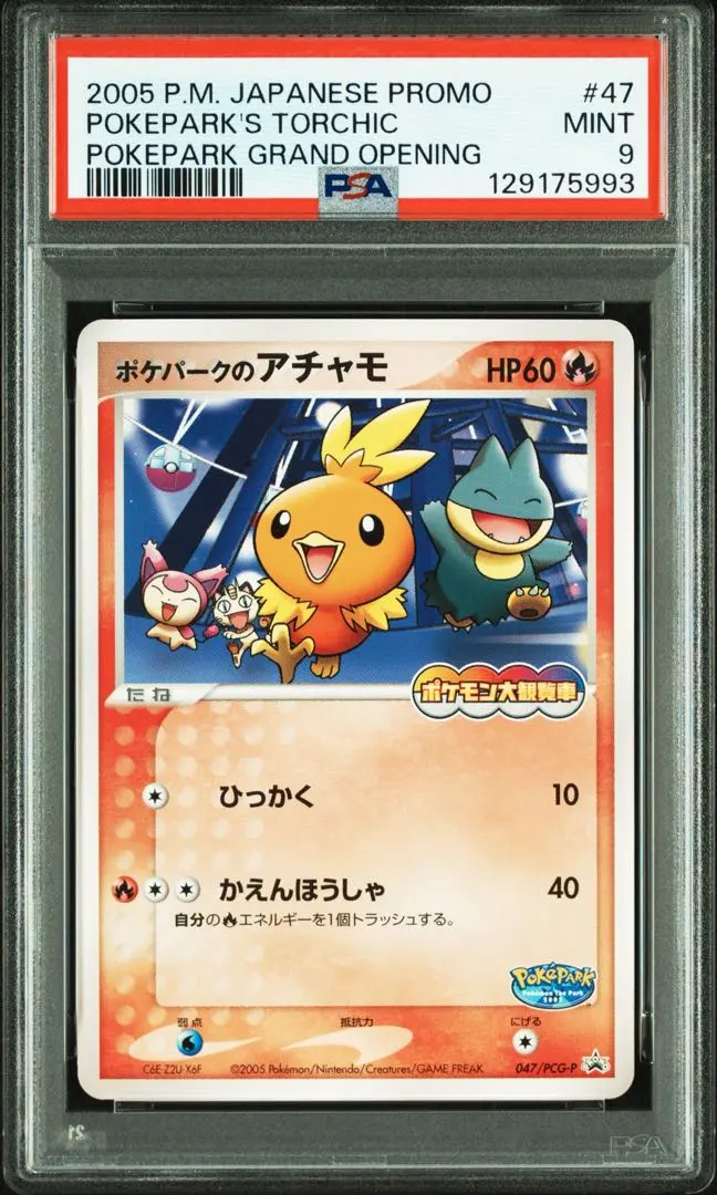 2026年最新】アチャモ psa10の人気アイテム - メルカリ