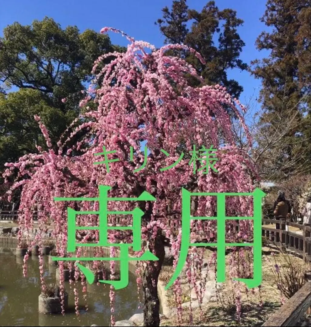 2026年最新】インヴェル 枕カバーの人気アイテム - メルカリ