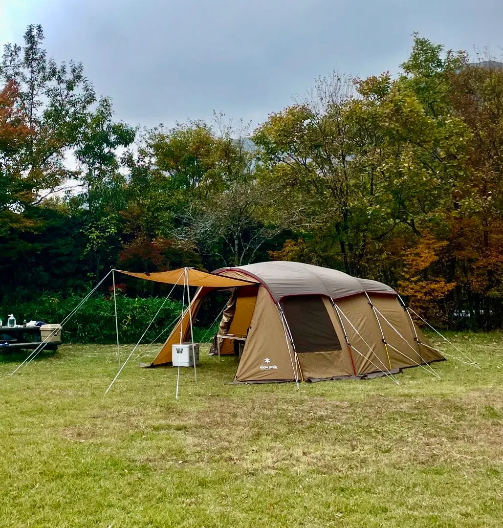 2026年最新】エルフィールドマットシートセットの人気アイテム - メルカリ