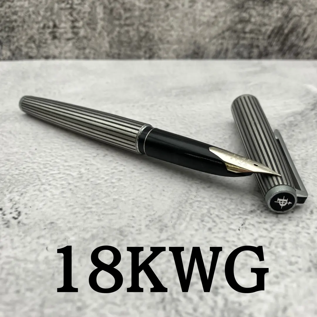 2026年最新】pilot パイロット 万年筆 カスタムストライプの人気