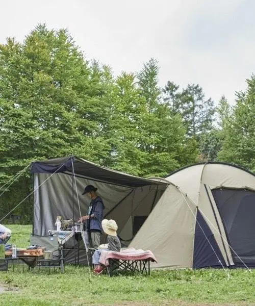 2026年最新】アーストリッパー scの人気アイテム - メルカリ