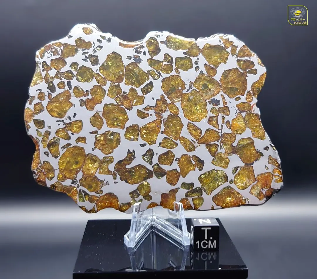 2026年最新】イミラックパラサイトの人気アイテム - メルカリ