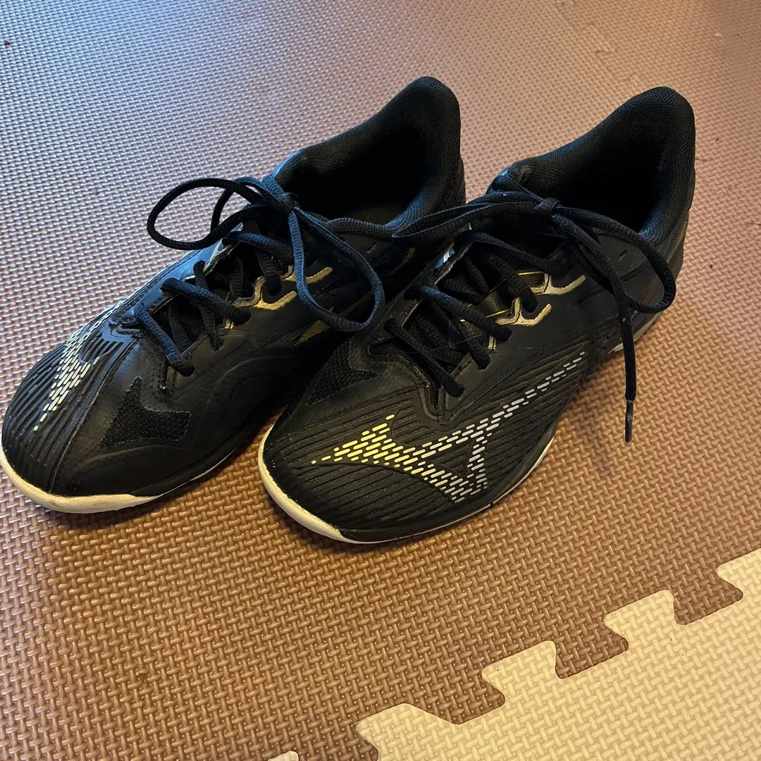 2026年最新】［ミズノ］ テニスシューズ ウエーブエクシード 2 ワイド