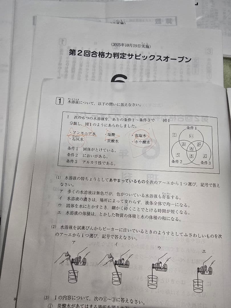 最新/原本/成績データ付】SAPIX 6年生 組分け確認復習マンスリー 16回