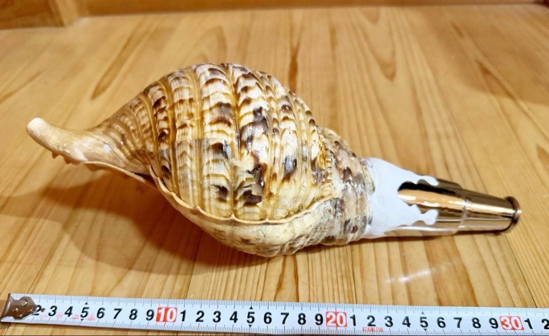 おはなちゃんさま専用　修験道法螺貝　山伏　密教　熊よけ　魔除け❣️ほら貝　赤紐付き