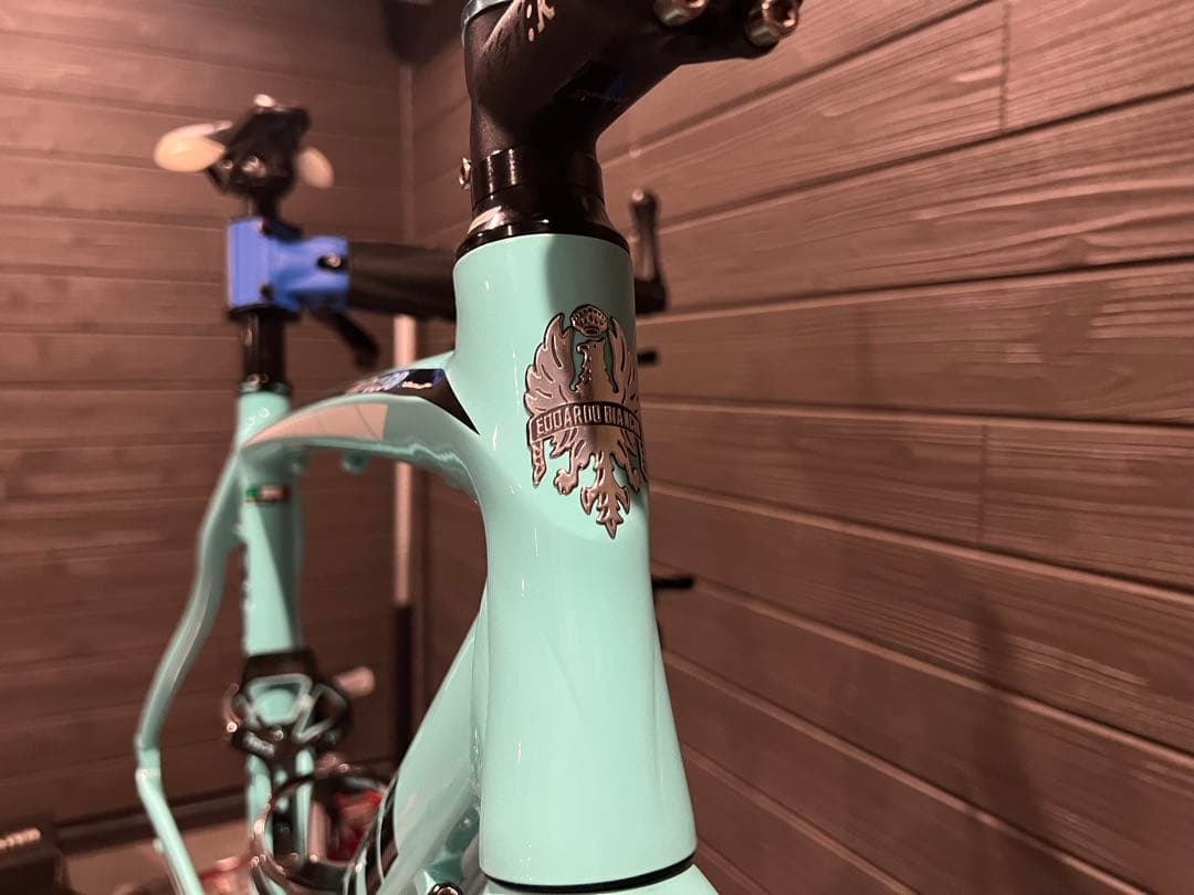 Bianchi IMPULSO 2019 53size フレーム - メルカリ