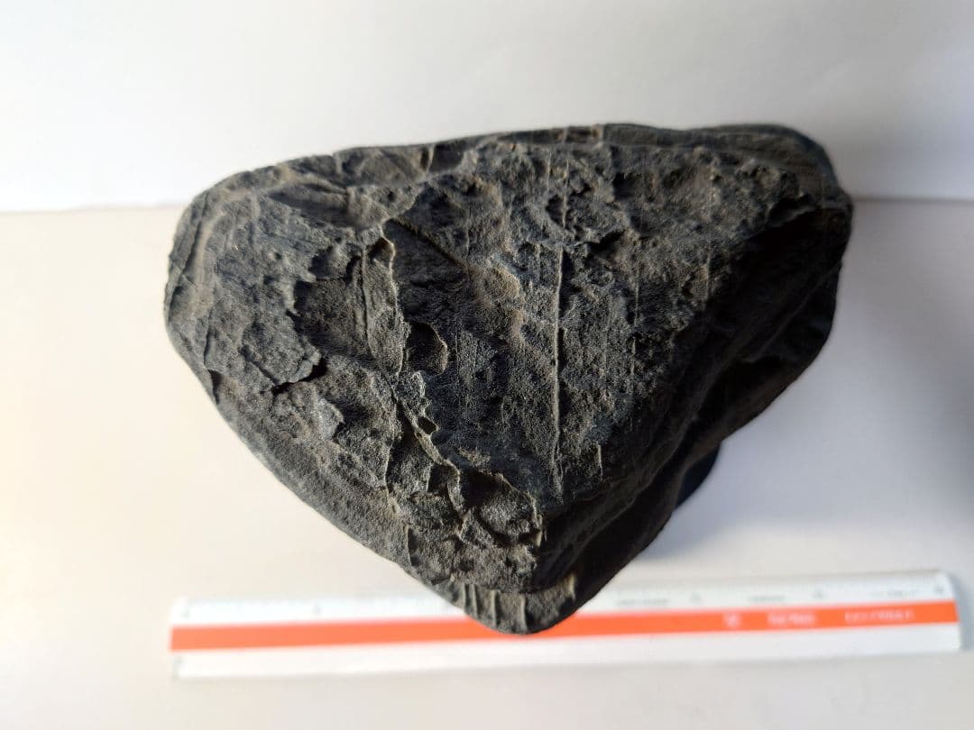 佐治川石 層状 水石 鑑賞石