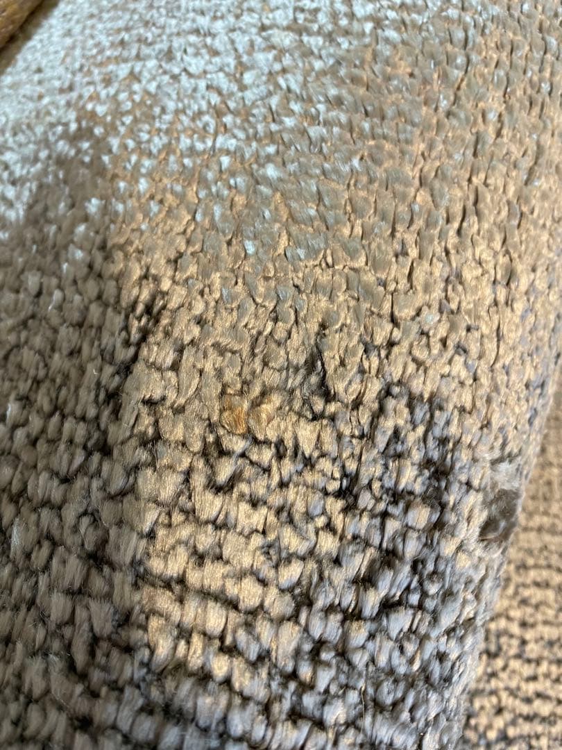 カッシーナ　G.T.DESIGN KAMA (シルバー) カーペット