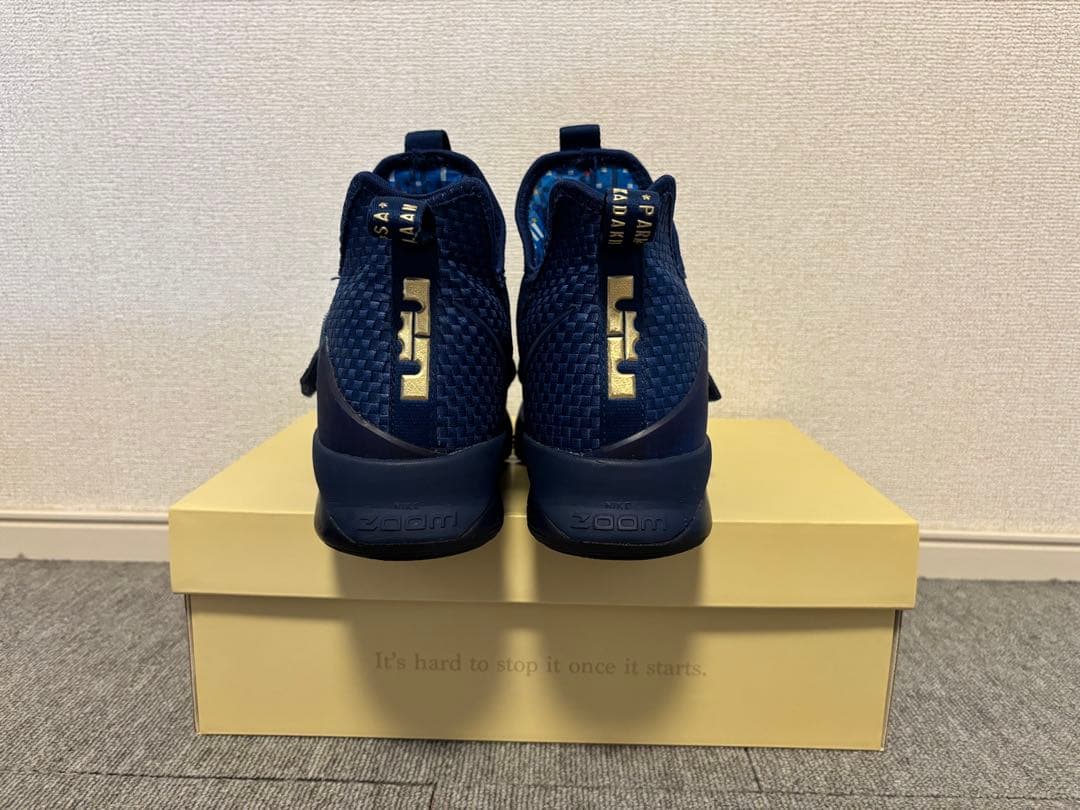 NIKE レブロン 14 リミテッド 25.5cm
