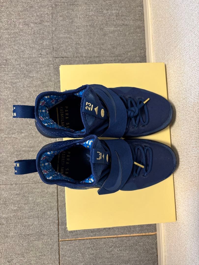 NIKE レブロン 14 リミテッド 25.5cm