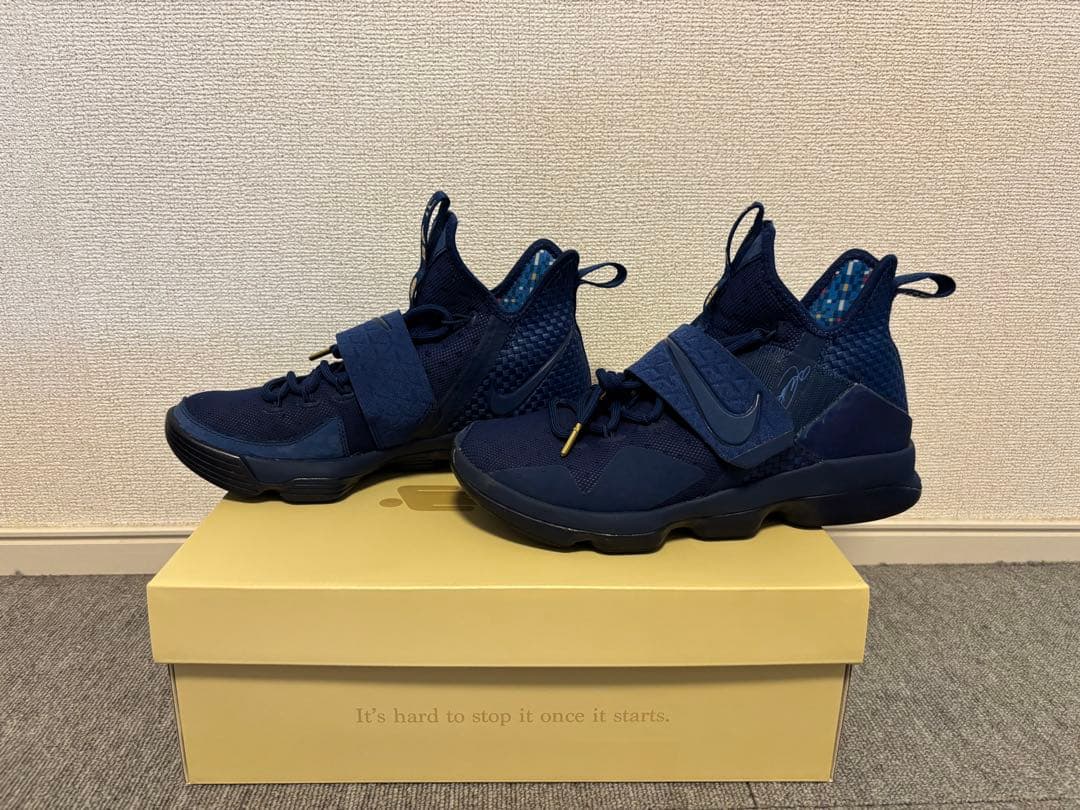 NIKE レブロン 14 リミテッド 25.5cm