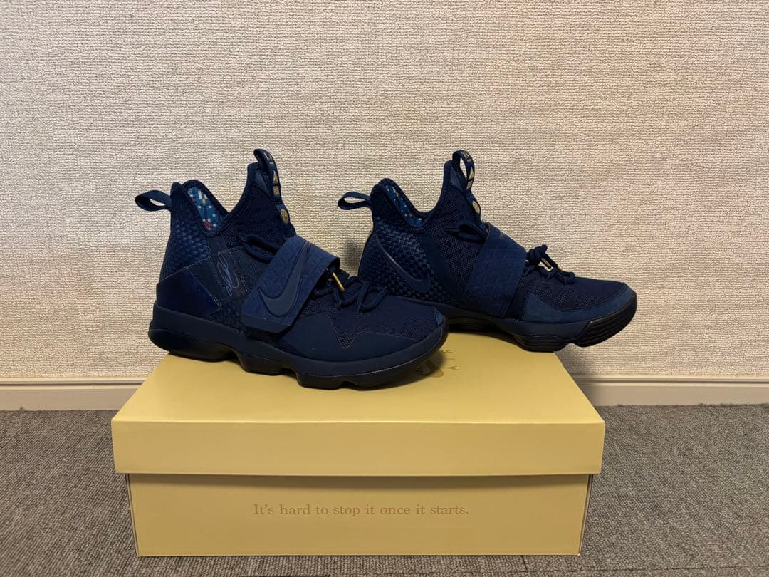 NIKE レブロン 14 リミテッド 25.5cm