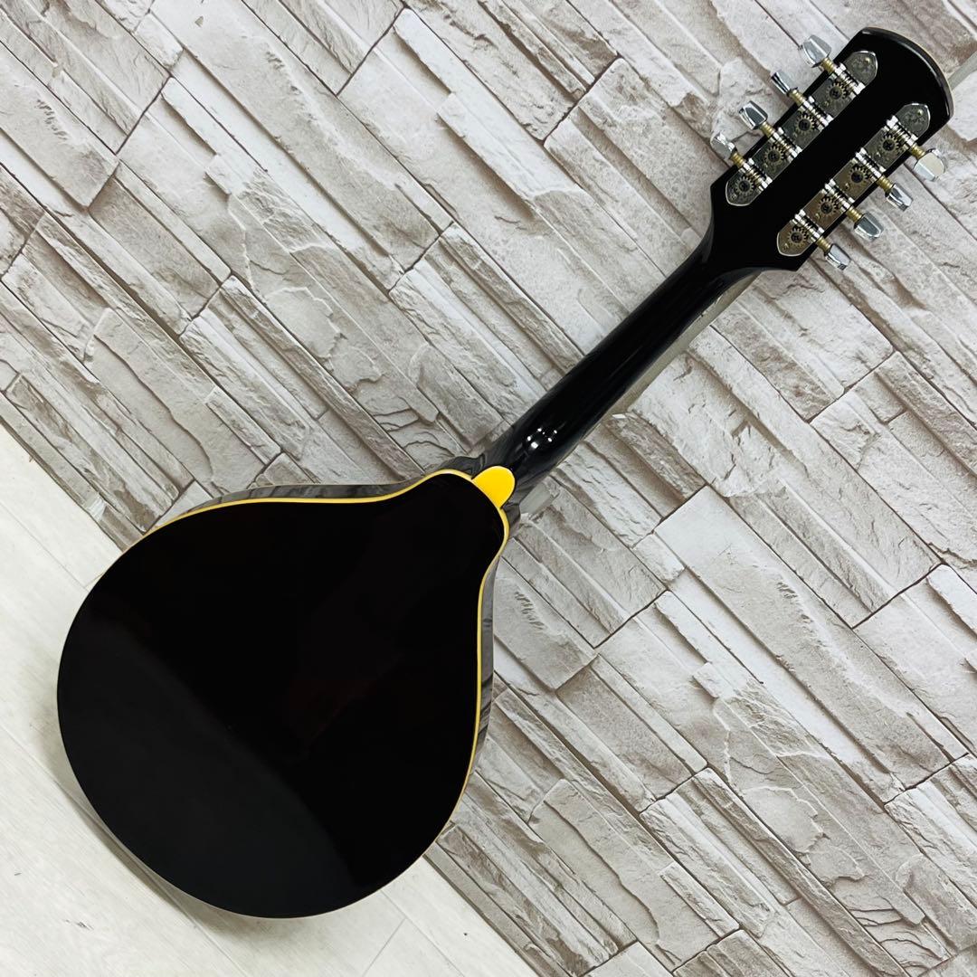 Samick サミック PU搭載 エレキフラットマンドリン サミックSAMICK