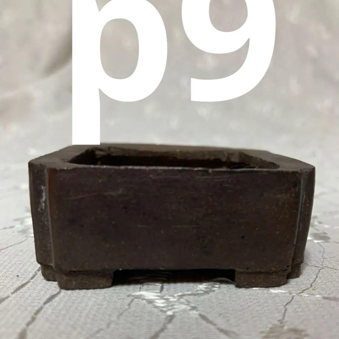 和鉢　正方　小さめ鉢 楽天市場】プラ鉢 5号 浅型和鉢 青 5AS 幅15cm×高さ7.5cm ミニ盆栽