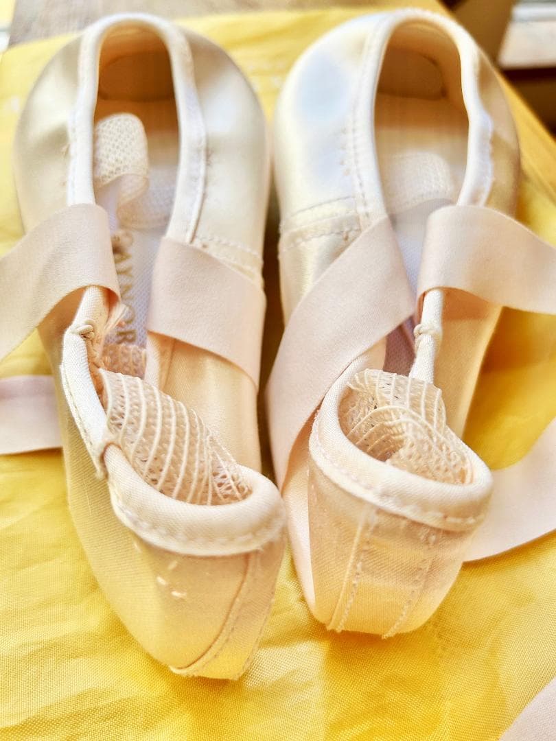 ゲイナーミンデン トウシューズ リラ 9.5 細幅 - メルカリ