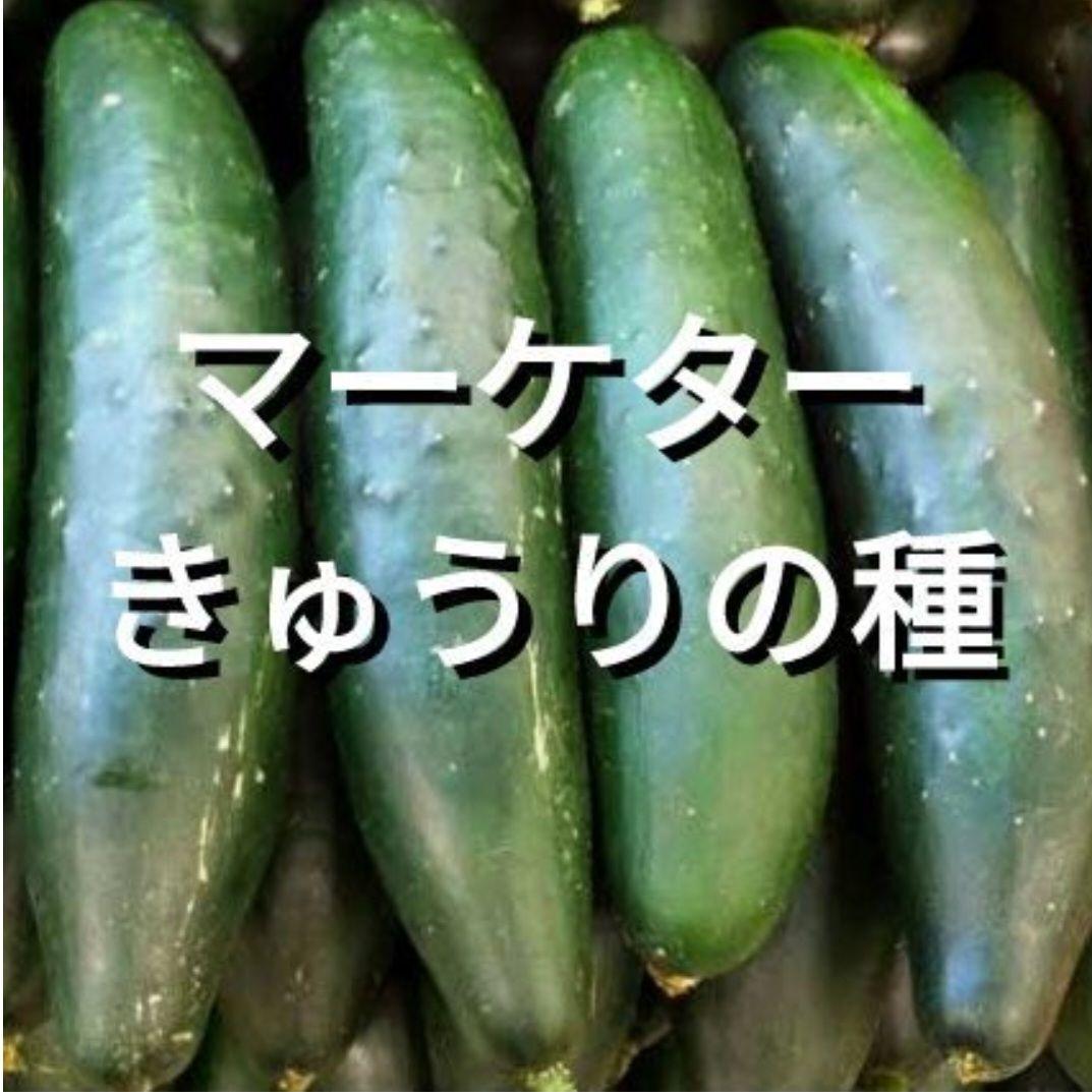 マーケターきゅうりの種(Marketer Cucumber・固定種) マーケターきゅうりの種(Marketer Cucumber・固定種) - メルカリ