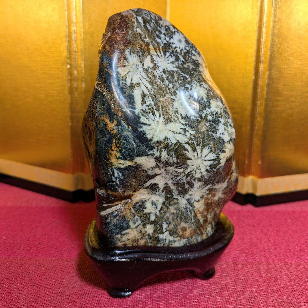 だまやん様専用】菊花石 岐阜県根尾谷産1.7㌔ 鑑賞石 観賞石 水石 盆石