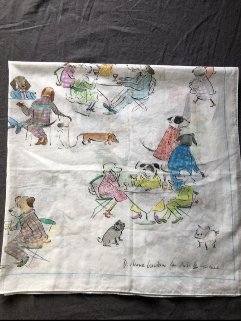 ARTS&SCIENCE ドミニカモアゴードンコラボスカーフ 楽天市場】【中古】美品 アーツアンドサイエンス ストール ×Domenica