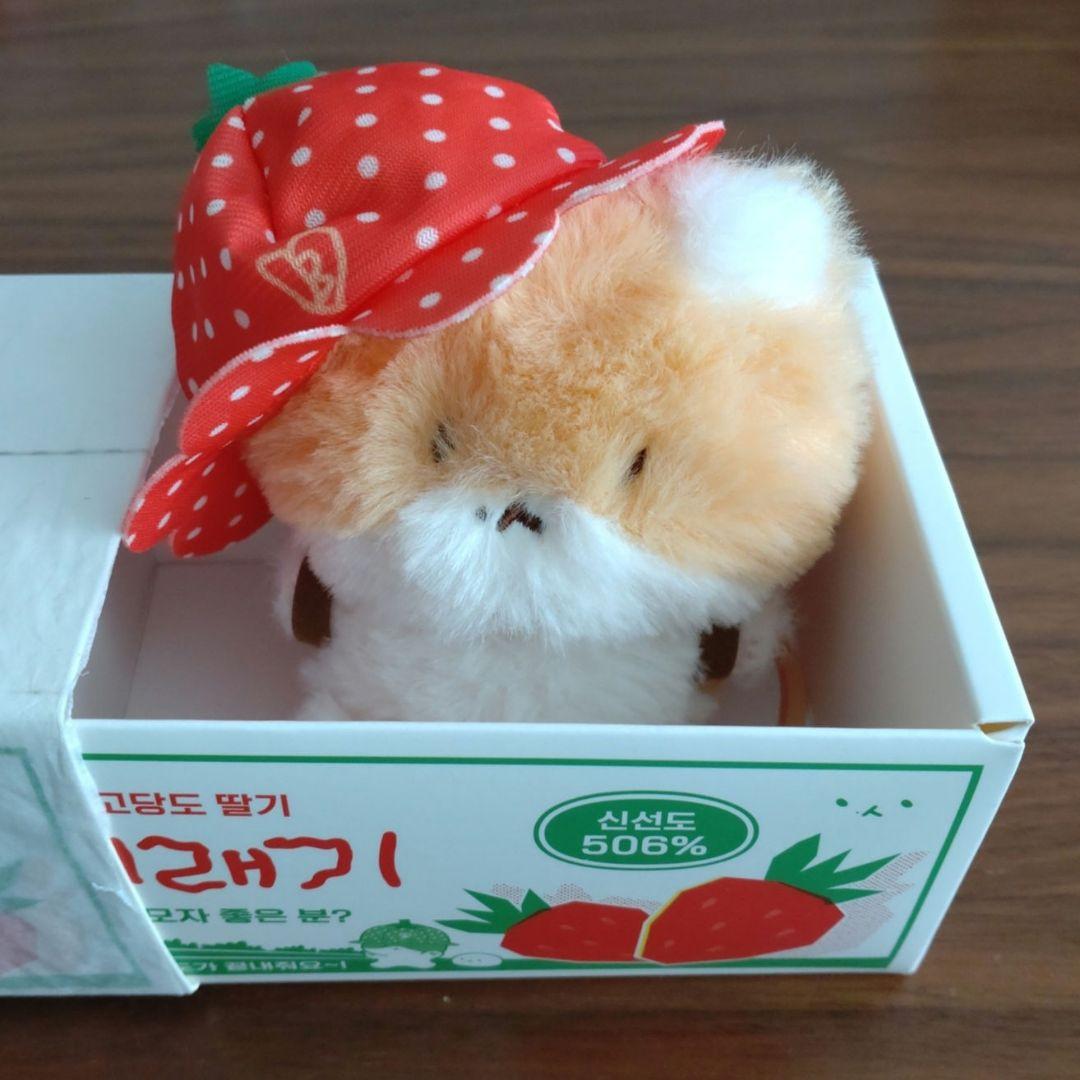 EXO ベッキョン トレギ - メルカリ