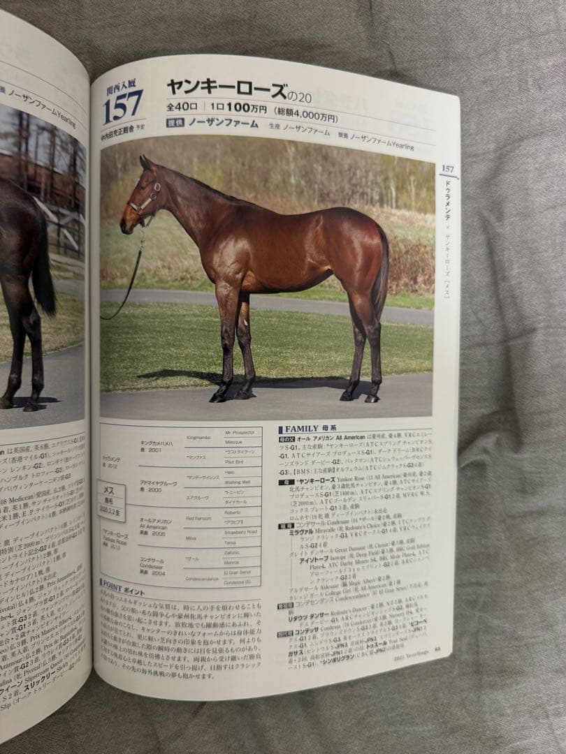 非売品　リバティアイランド　募集時カタログDVD付き