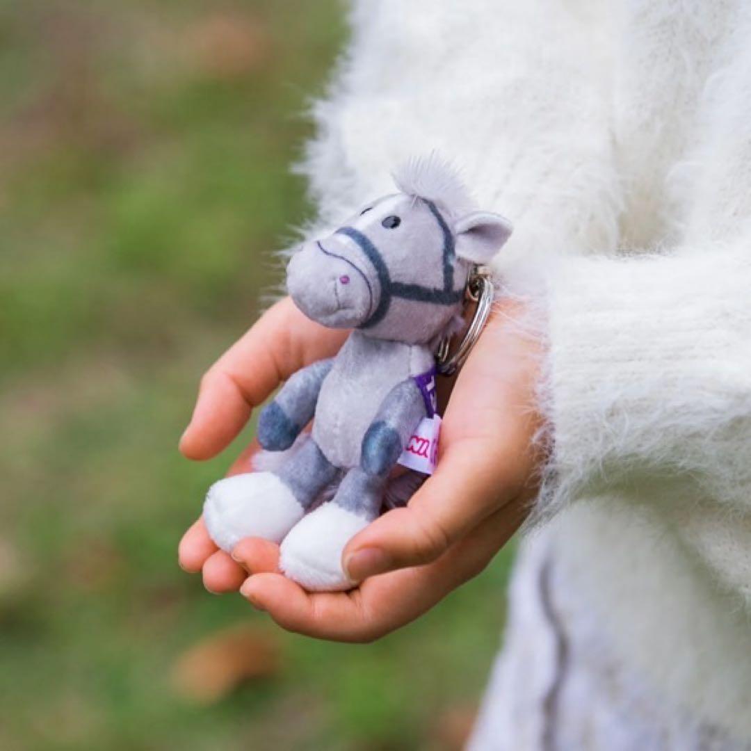 ゴールドシップ ステイゴールド NICI ダービーフレンズ キ