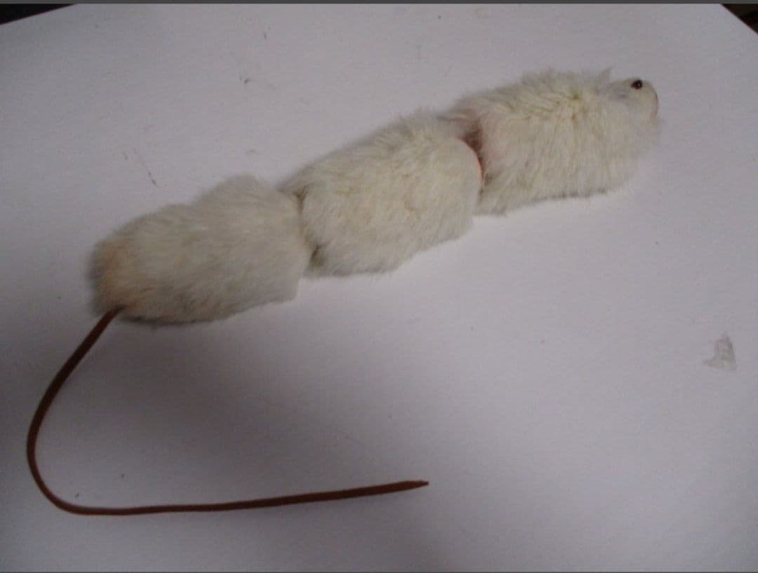 No.361 激レア 特注? ムチョウワークス 3連ジョイントマウス 60cmNo