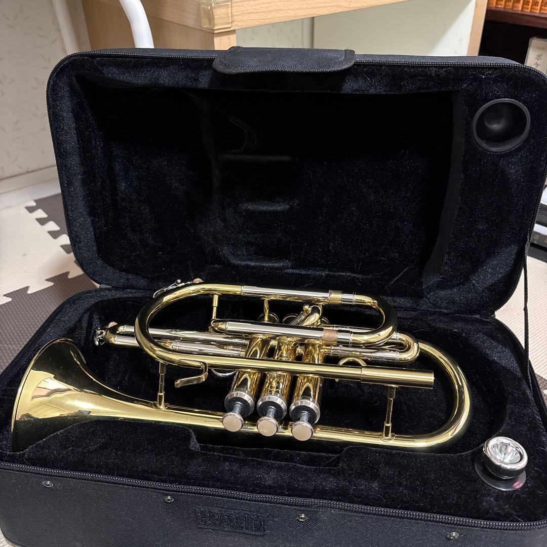 コルネット本体 ゴールド マウスピース付き 楽天市場】耐金属アレルギーコーティング（チタンIP ゴールドカラー