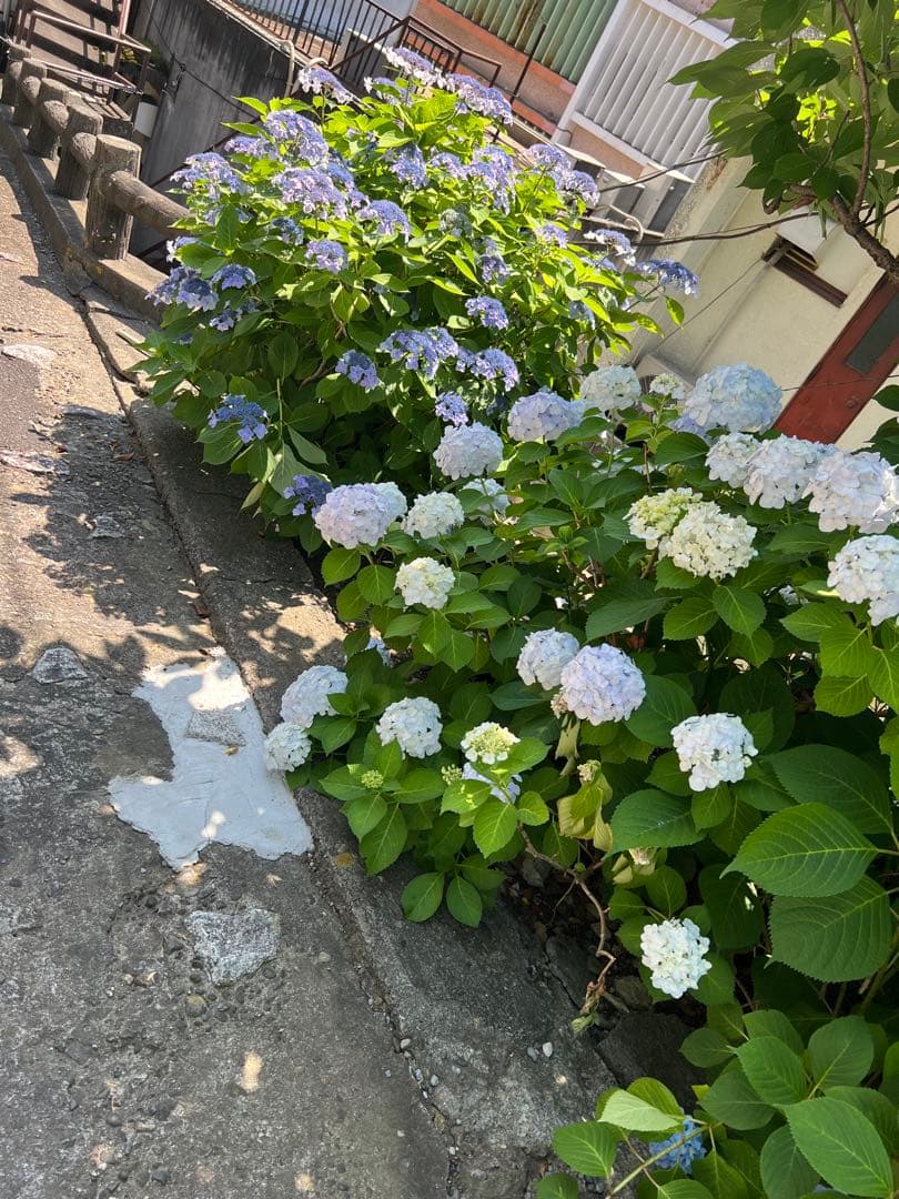 クレンジング・メイク落とし jonathan クレンジングローション | クリスタルジェミー 中島香里の美白化粧品