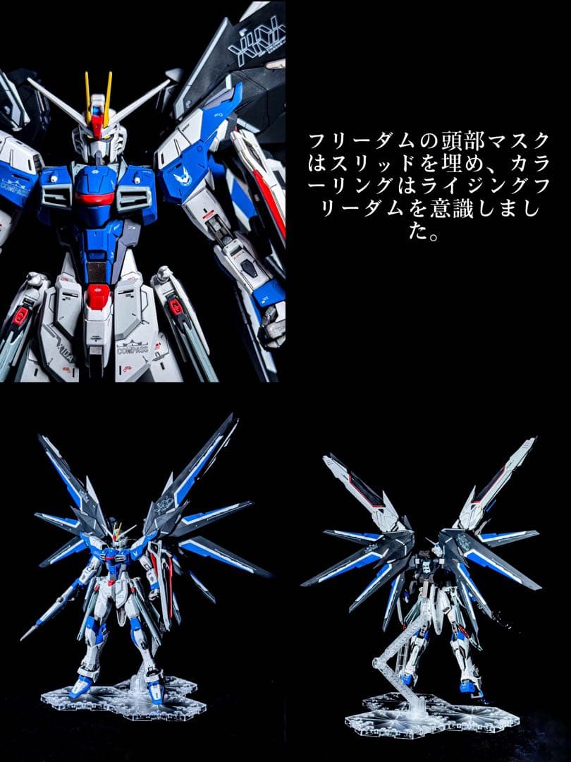 MG1/100 ライジングフリーダムガンダム ゼウスシルエット ミキシング