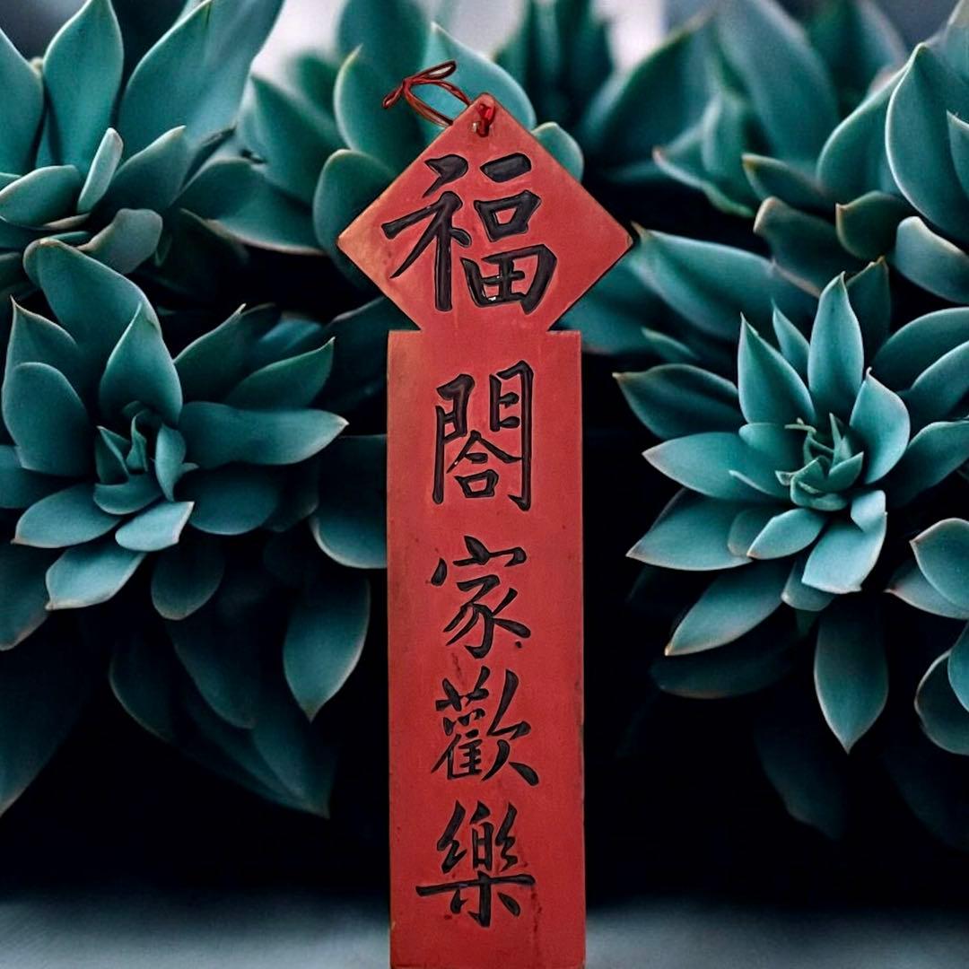 T*G様 激レア☆清王朝？☆木彫☆木札☆古代中国☆アンティークコレクション☆アジ 激レア☆清王朝？☆木彫☆木札☆古代中国☆アンティークコレクション☆アジ T*G様