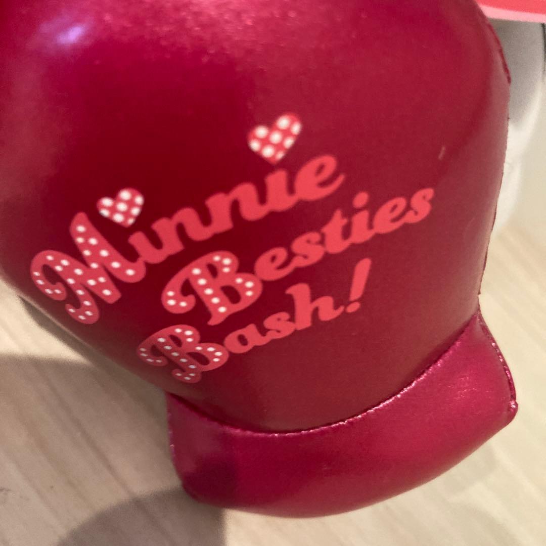 ディズニーパルパルファンタジーミニーマウス2024年サイズ30