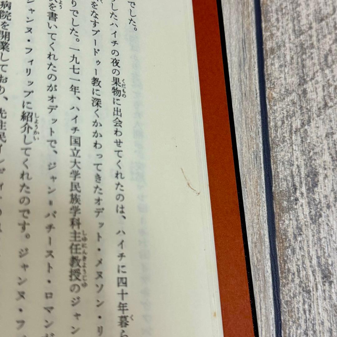 希少】魔法のオレンジの木 - メルカリ