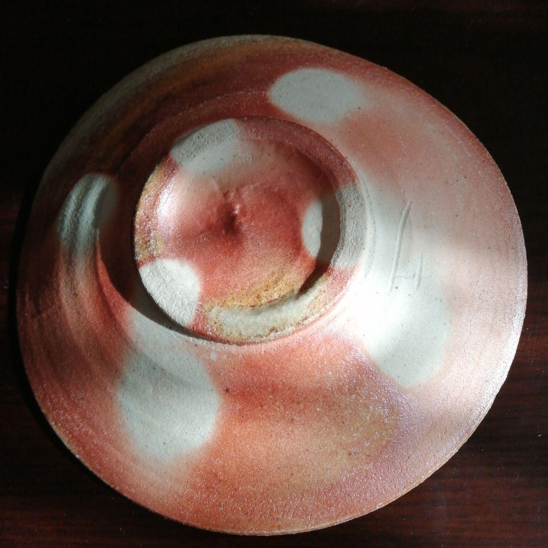 信楽焼 杉本貞光 寺垣外窯 信楽薄手皿 17cm 【1枚割れアリ】