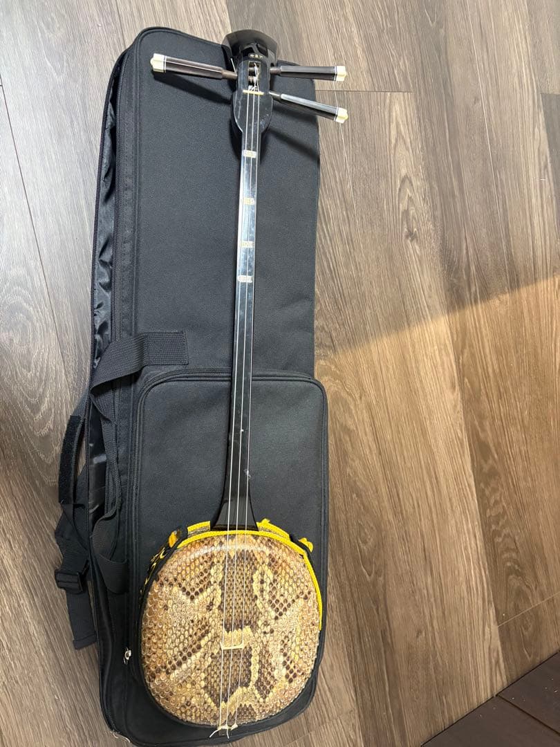 ヘビ皮 沖縄　三線　 ケース付き 三線 沖縄三線 本蛇皮強化張り ブラック 初心者向けスタンダードセット