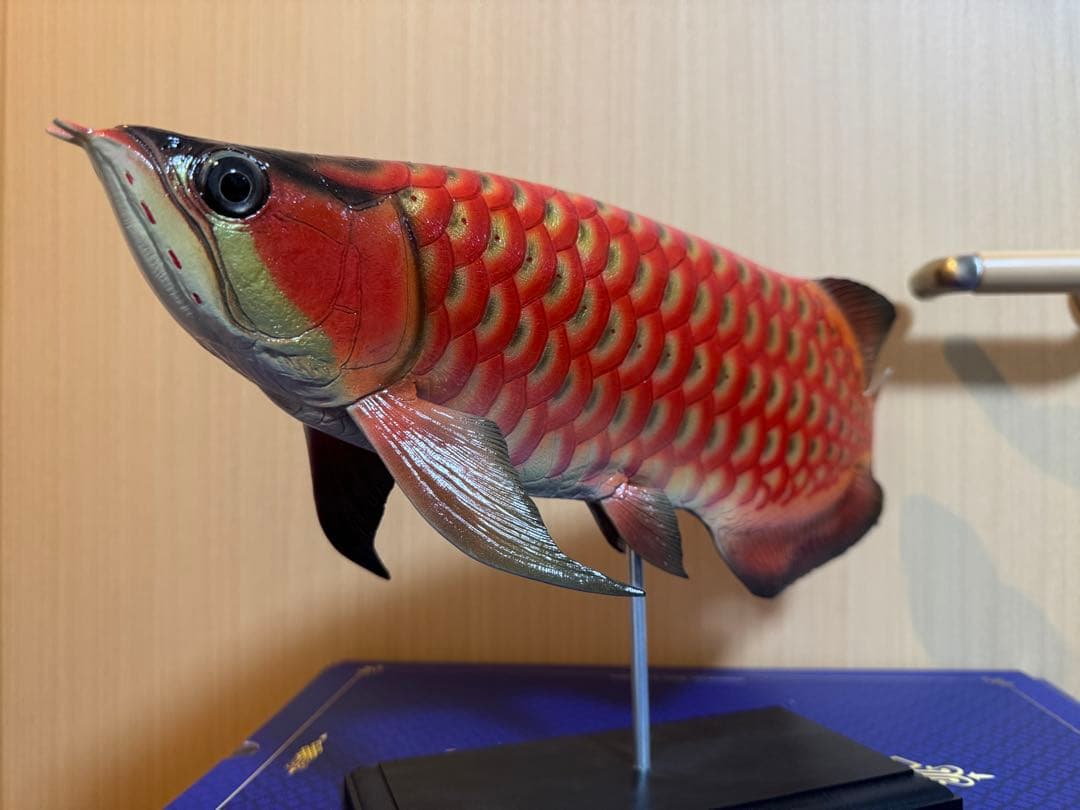 41cmアロワナフィギュア レプリカ