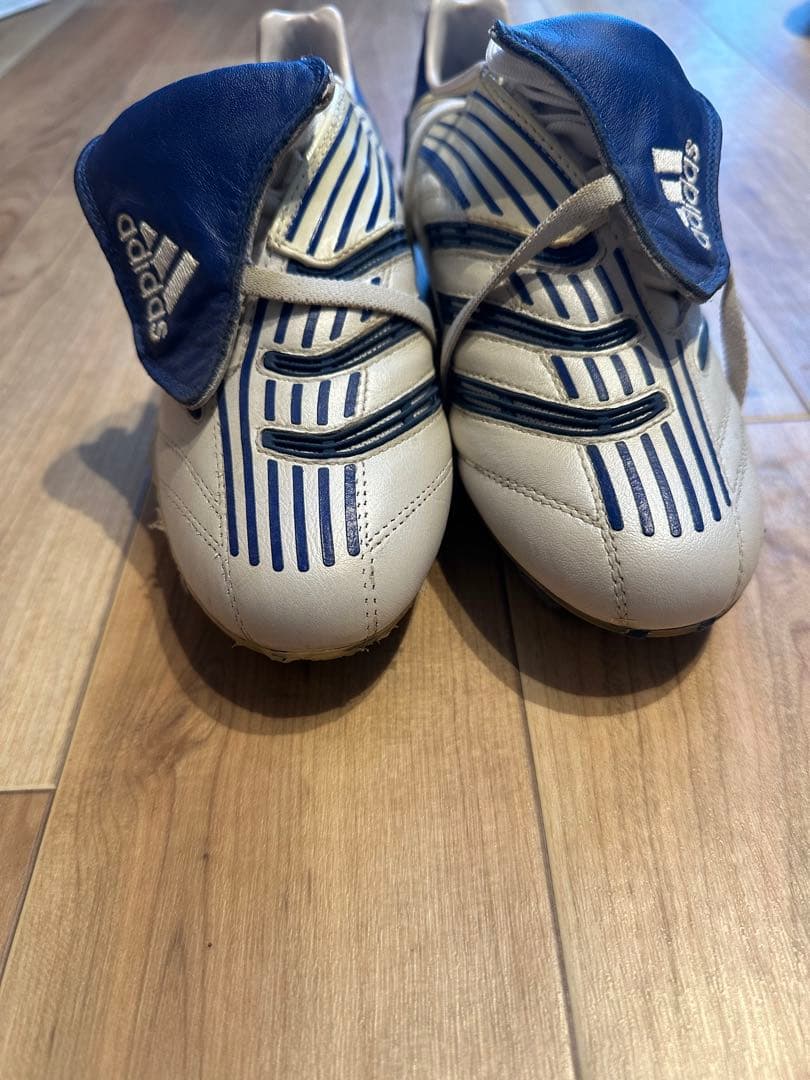 プレデターアブソリュートFG 24.5cm