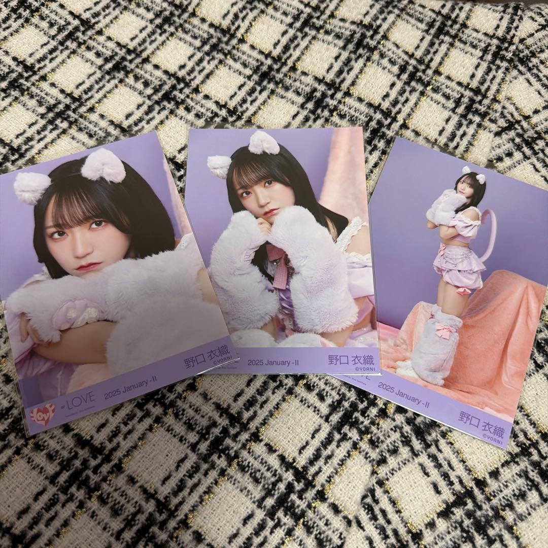 LOVE 野口衣織 生写真 7周年 猫衣装 フルコンプ - メルカリ