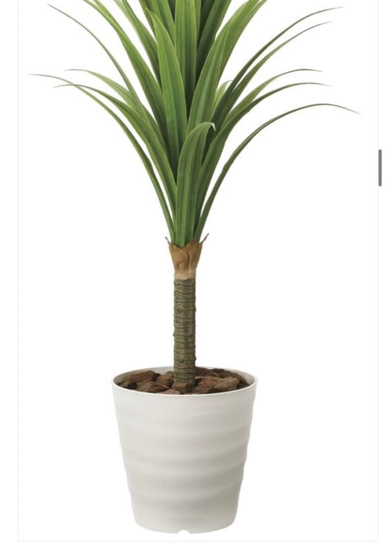 光触媒　人工観葉植物　フェイクグリーン　ドラセナ 高さ 1.8m