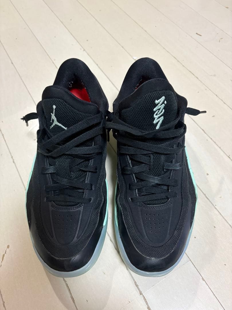 【値下げ】NIKE JORDAN ZION4 PF 27.5cm