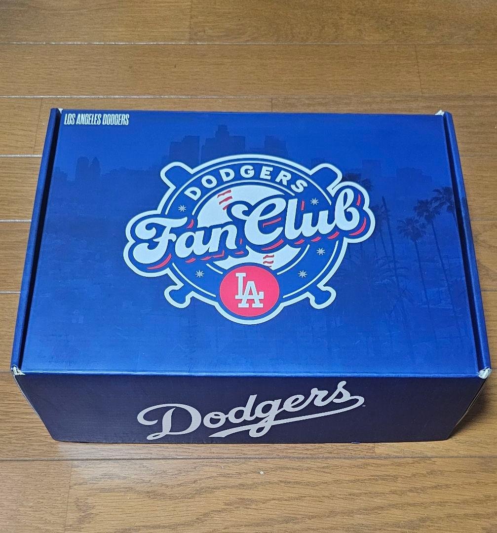 ミズノプロ オリックスバファローズ（プロ支給品）